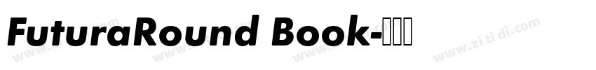FuturaRound Book字体转换